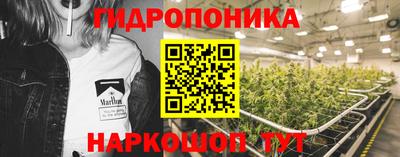 винт Славгород