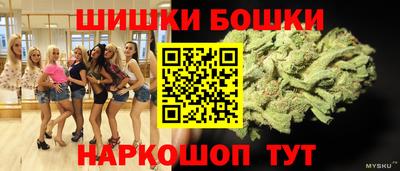 винт Славгород