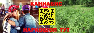 винт Славгород