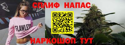 винт Славгород