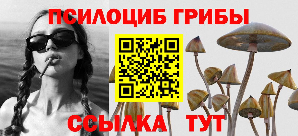 Псилоцибиновые грибы Cubensis Октябрьский